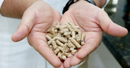 Aquecimento a pellets é uma solução ecológica